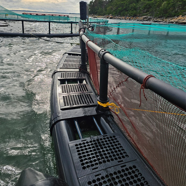 Open Sea Aquaculture Fish Cages