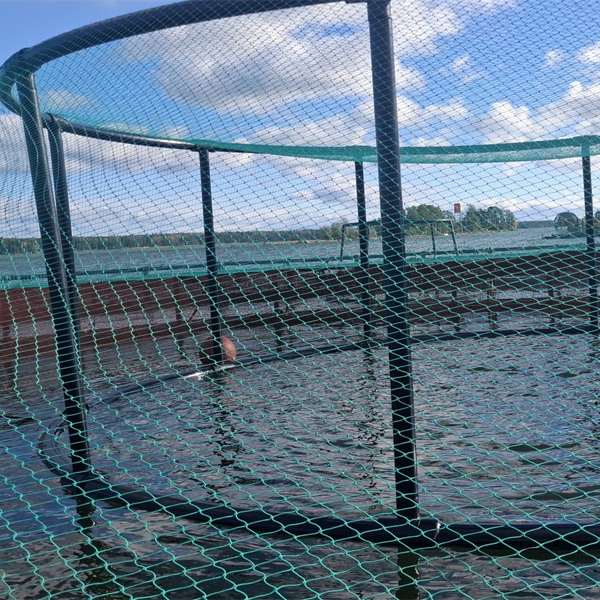 HDPE Bird Net Supports