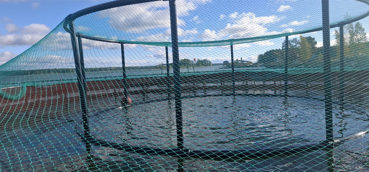 hdpe bird net supports