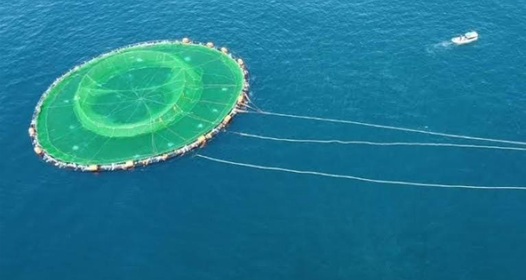 open sea fish farming cage