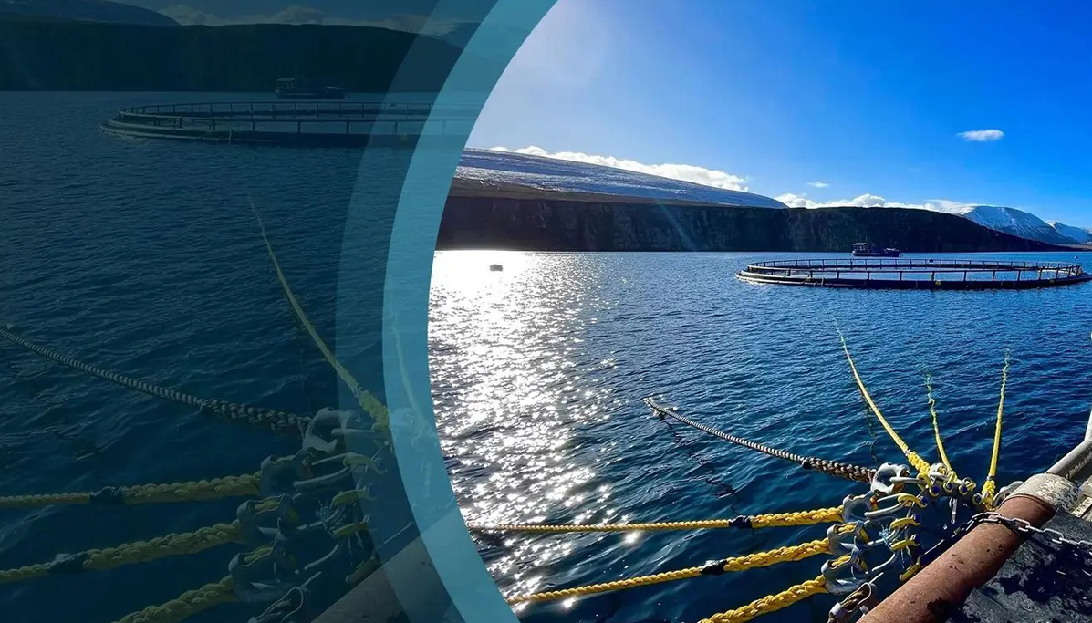 aquaculture fish cage mooring system