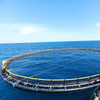 HDPE100 Pipe For Fish Farming