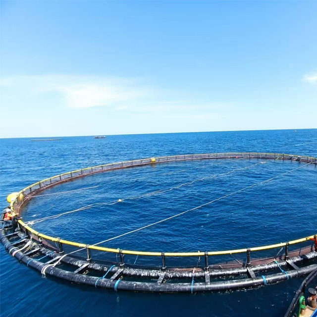 HDPE100 Pipe For Fish Farming