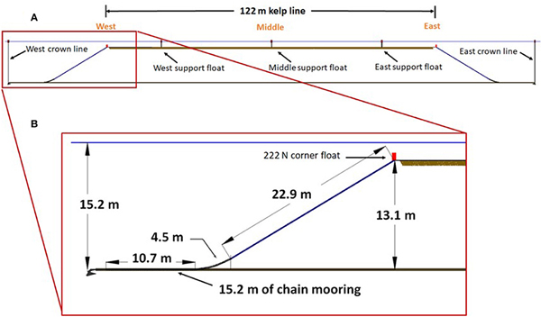 kelp mooring long line