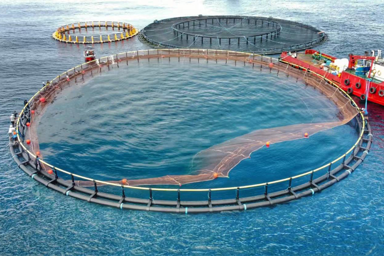 Waysail aquaculture cages