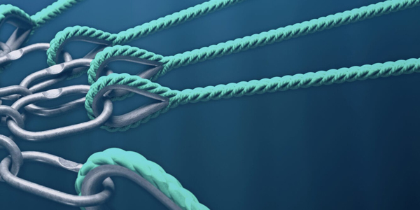 aquaculture mooring master link