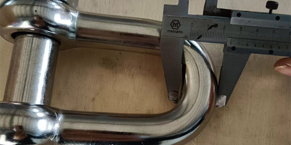 SS316 D Shackle