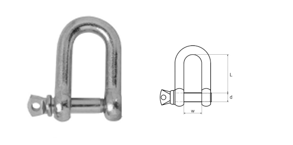 Dee shackle