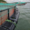 Open Sea Aquaculture Fish Cages