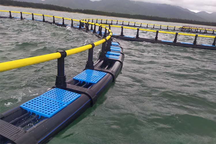 Open Sea Farming System Fish Cages HDPE Floating Cages