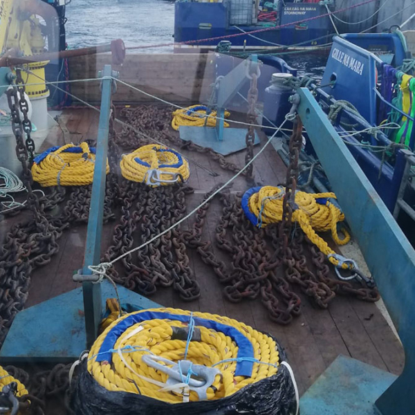 The Mooring Line And Cultivation Line of Kelp Farming