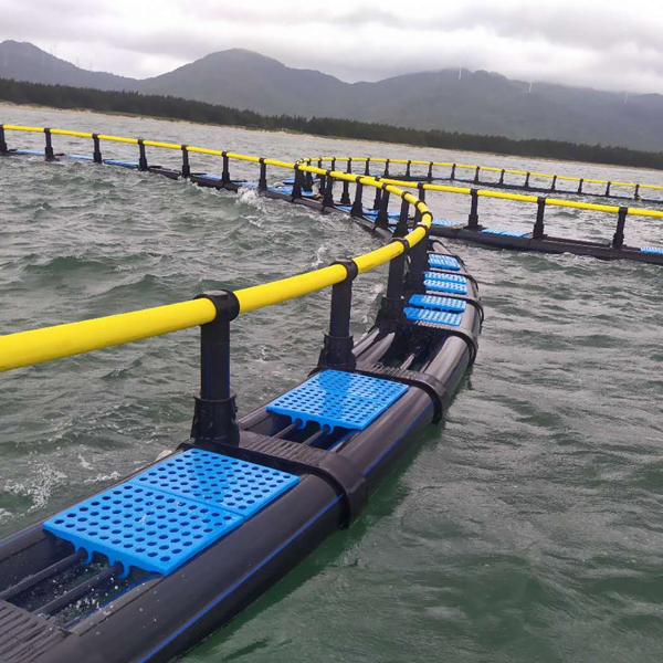 Types and Functional Characteristics of Deep Water Fish Cage