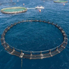 Open Sea Aquaculture Fish Cages