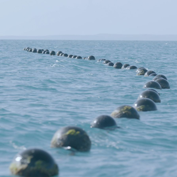 Marine Mooring Solutions for Pearling Longline Systems