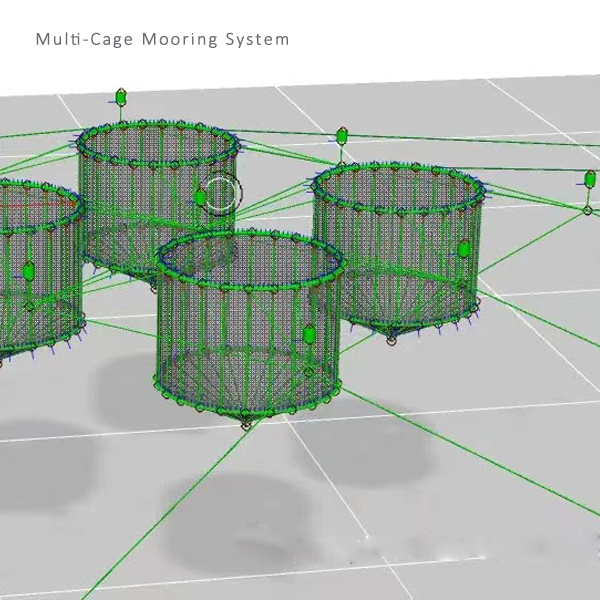 Aquaculture Cage Mooring System