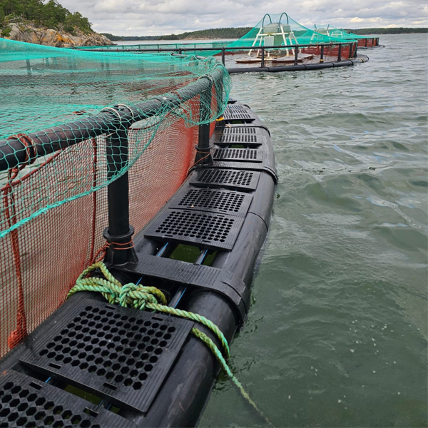 315mm Double Holes Bracket For New Plastic Cages To Fishfarm