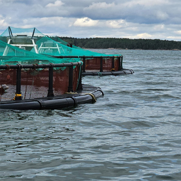 perimeter 70m fish cage