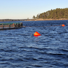 fish farming buoy.jpg