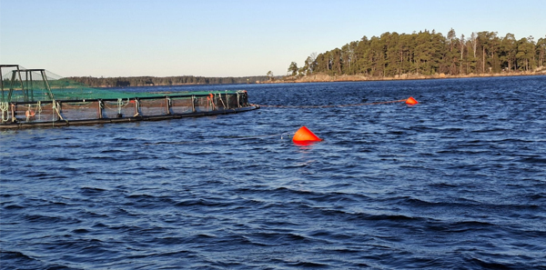 buoy for cage farming