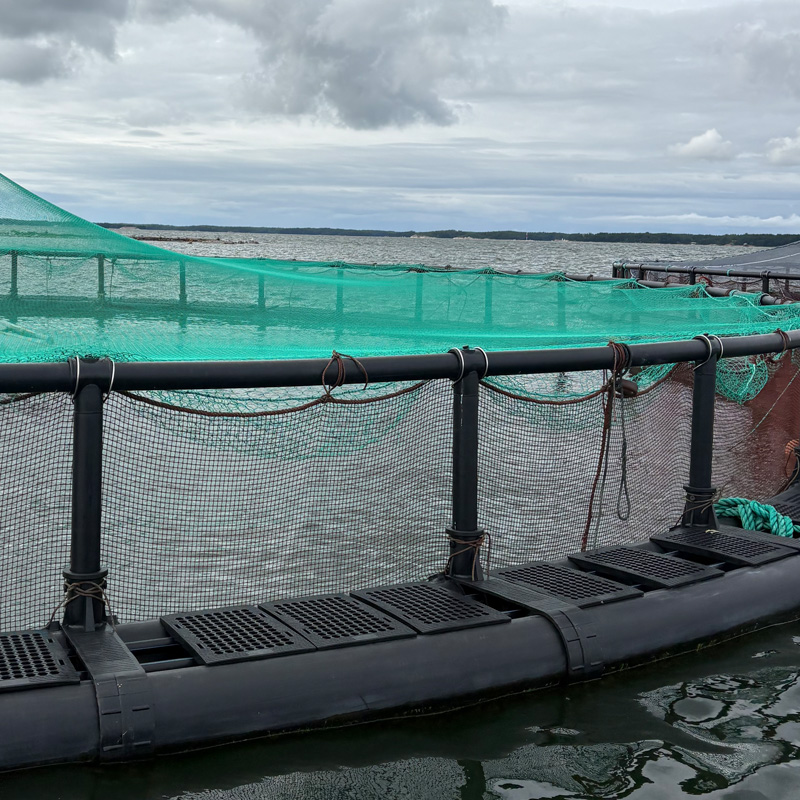 marine aquaculture cage