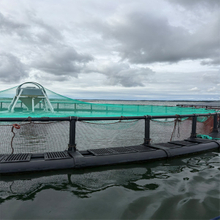 floating fish cage.jpg