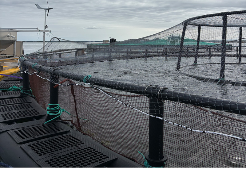 injection molded fish cage bracket