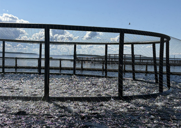 Circular birdnet support wheel